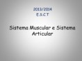 /album/sistema-muscular/diapositivo1-jpg/