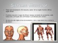 /album/sistema-muscular/diapositivo5-jpg/