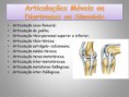 /album/sistema-muscular/diapositivo21-jpg/