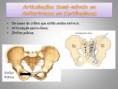 /album/sistema-muscular/diapositivo22-jpg/