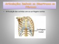 /album/sistema-muscular/diapositivo23-jpg/